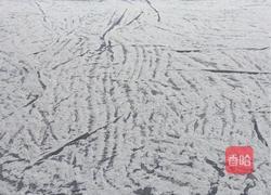 【创意小厨娘】四川农家特色美食——滑肉汤的做法图解1