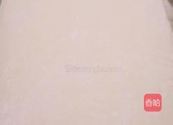 椒盐土豆卷的做法图解7