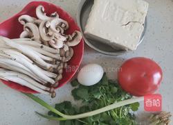 西红柿豆腐菌菇汤的做法图解1