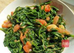 西红柿炒豌豆尖（豆苗）的做法图解8