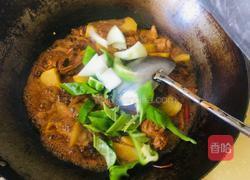 家庭版大盘鸡的做法图解6