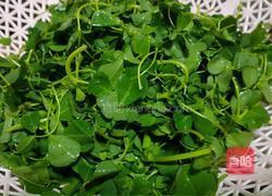 炒草头的做法图解2