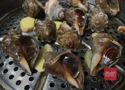 清蒸海螺的做法图解4