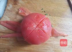 西红柿鸡蛋饺子的做法图解3