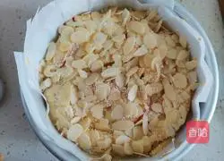 Whole wheat apple layer cake recipe 8