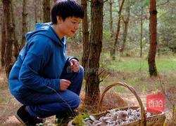 高档调味品菌油做法 拌菜拌面吃太鲜了的做法图解1