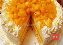 8寸芒果奶油蛋糕的做法图解24