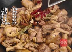 红姐秘制卤水 卤肉吃太香了的做法图解8