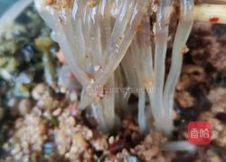 酸辣粉的做法图解9