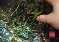 香椿炒蛋的做法图解4