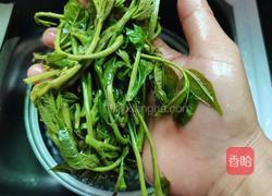 香椿炒蛋的做法图解9