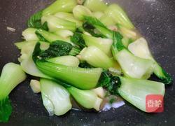 蒜香油菜的做法图解10