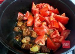 番茄炖牛腩的做法图解14