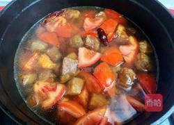 番茄炖牛腩的做法图解15