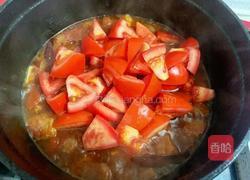 番茄炖牛腩的做法图解17
