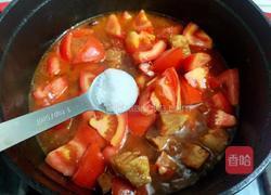 番茄燉牛腩的做法圖解18