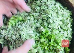 蒸榆钱儿的做法图解4