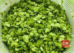 蒸榆钱儿的做法图解2