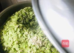 蒸榆钱儿的做法图解6