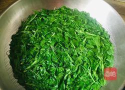 炝拌苜蓿的做法图解2