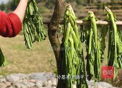 自制酸菜做酸菜鱼总共花费不到20块在家就能做的做法图解3
