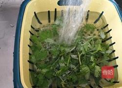 青团的做法图解4