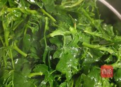 苜蓿鸡蛋饼的做法图解2