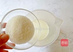 酸奶水果胖胖杯(含自制酸奶)的做法图解4