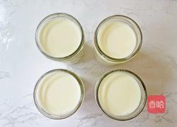 酸奶水果胖胖杯（含自制酸奶）的做法图解9