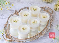 茉莉花奶冻的做法图解13