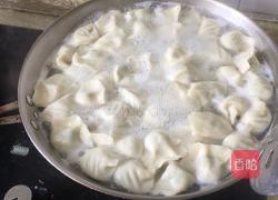 家庭版荠菜饺子的做法图解8