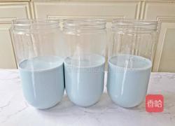 蝶豆花奶冻西米露的做法图解8