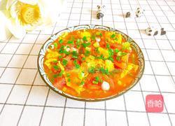 妈妈牌番茄鸡蛋汤的做法图解17