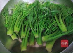 刺老芽炒蛋的做法图解6