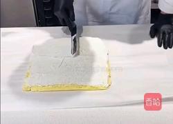 伯爵奶茶奶油蛋糕卷的做法图解7