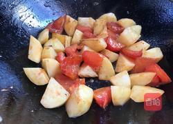 番茄土豆炖牛肉的做法图解12
