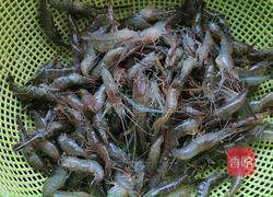 炒河虾的做法图解1