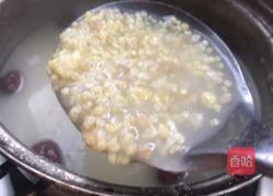 红枣燕麦小米粥的做法图解9