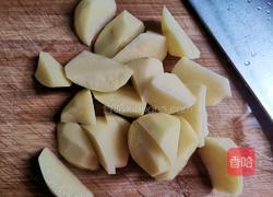 土豆炖鸡腿的做法图解5