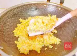 Egg Fried Rice Recipe Illustration 21