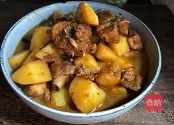 土豆炖鸡腿肉的做法图解15