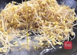 干煸黄豆芽的做法图解6