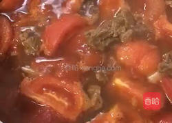 番茄炖牛腩的做法图解4