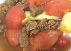 番茄炖牛腩的做法图解5