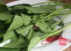 白玉菇豆腐汤的做法图解5