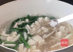 白玉菇豆腐汤的做法图解15