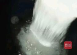 火龙果果冻的做法图解4