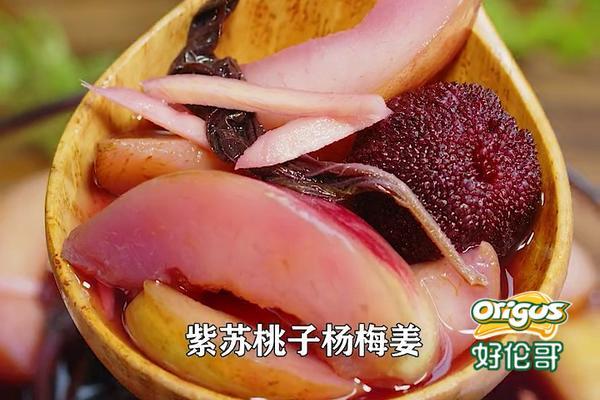 紫苏杨梅桃子姜 夏日饮品 老长沙地道小吃