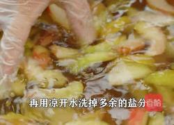 紫苏杨梅桃子姜 夏日饮品 老长沙地道小吃的做法图解7