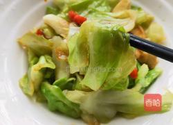 手撕包菜的做法图解8